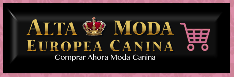 Ropa Invierno Perros Pequeños