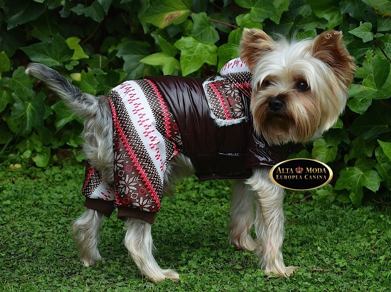 envio-pedidos-ropa-perros-transporte-de-moda-canina