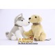 MINI HUSKY Y LABRADOR
