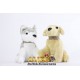 MINI HUSKY Y LABRADOR