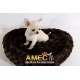 CAMA CHOCOLATE CORAZON