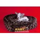 CAMA CHOCOLATE CORAZON