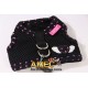 HARNESS MESH AND POLKA