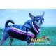 CHUBASQUERO SPORT DOG