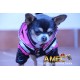 CHUBASQUERO SPORT DOG