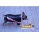 CHUBASQUERO SPORT DOG