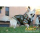 GREEN COAT REVERSIBLE