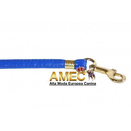 BLUE DOG LEAD