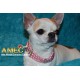 DOG COLLAR EXTENSIBLE