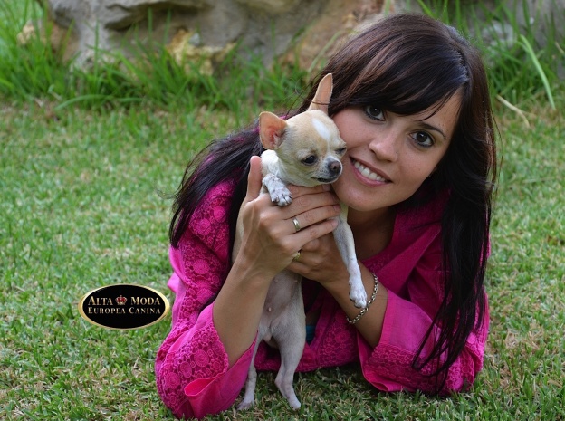 nuevo blog de moda canina