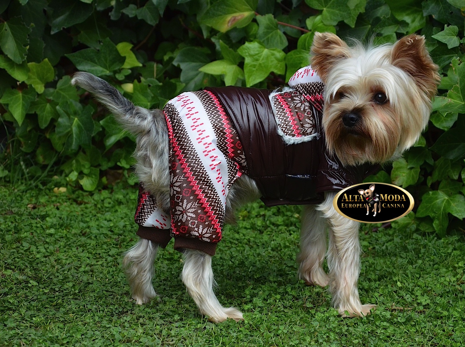 Chandals de Abrigo para Perros