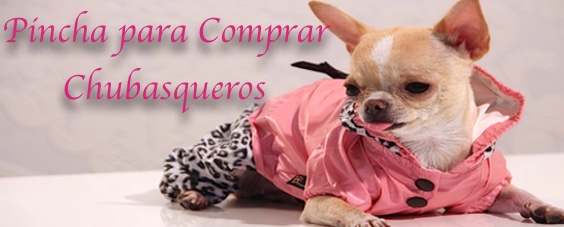 Chubasqueros para Perros