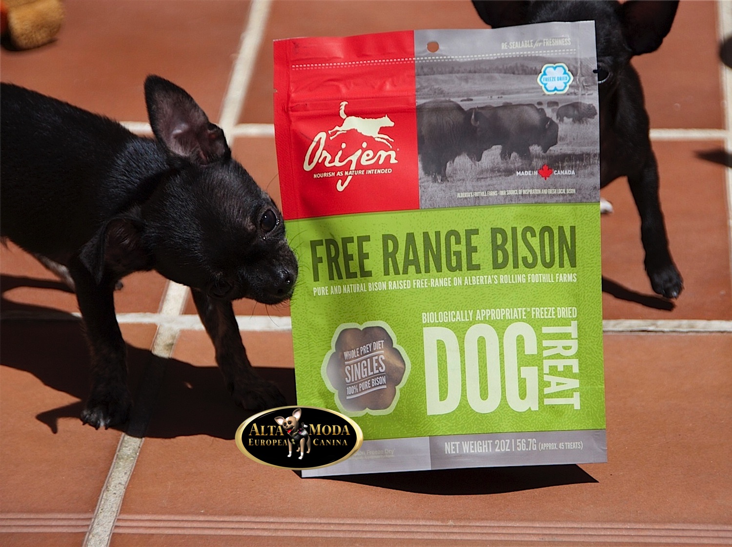 Premios Naturales para Perros