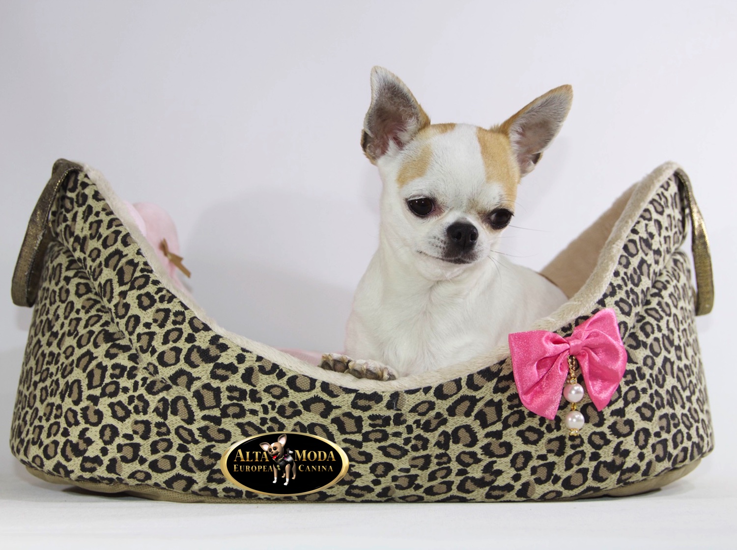 Accesorio Canino