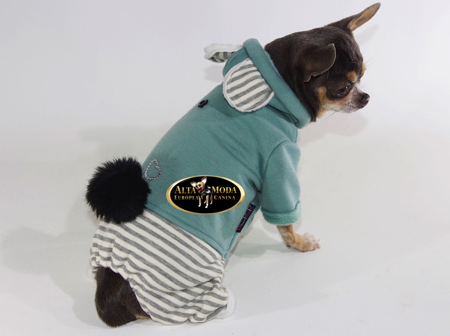 Vestir Chandal Perros