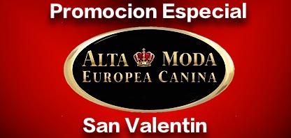 Promociones Especiales Moda Canina