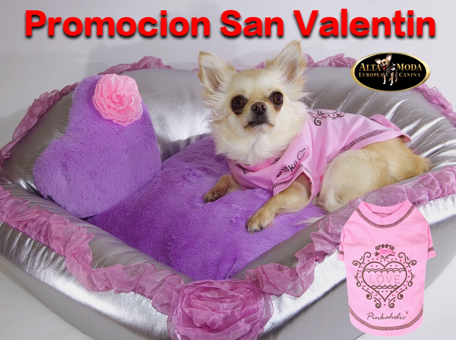 Promociones Especiales Moda Canina