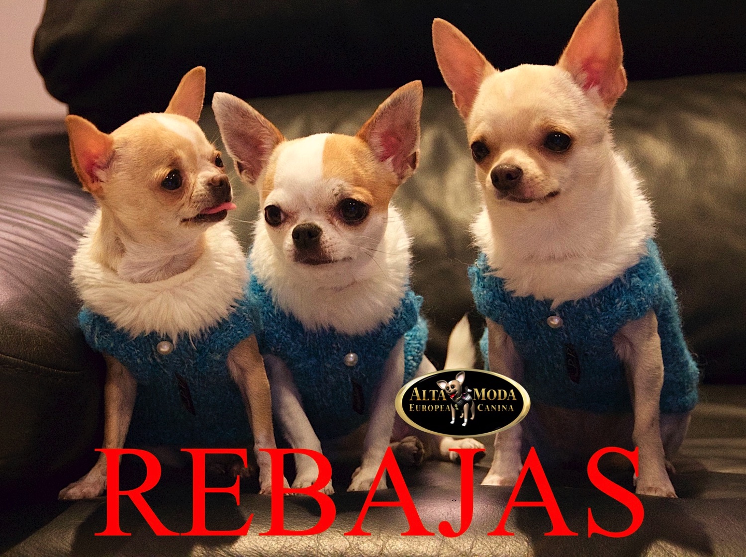 Comprar Ropa Perros Rebajas