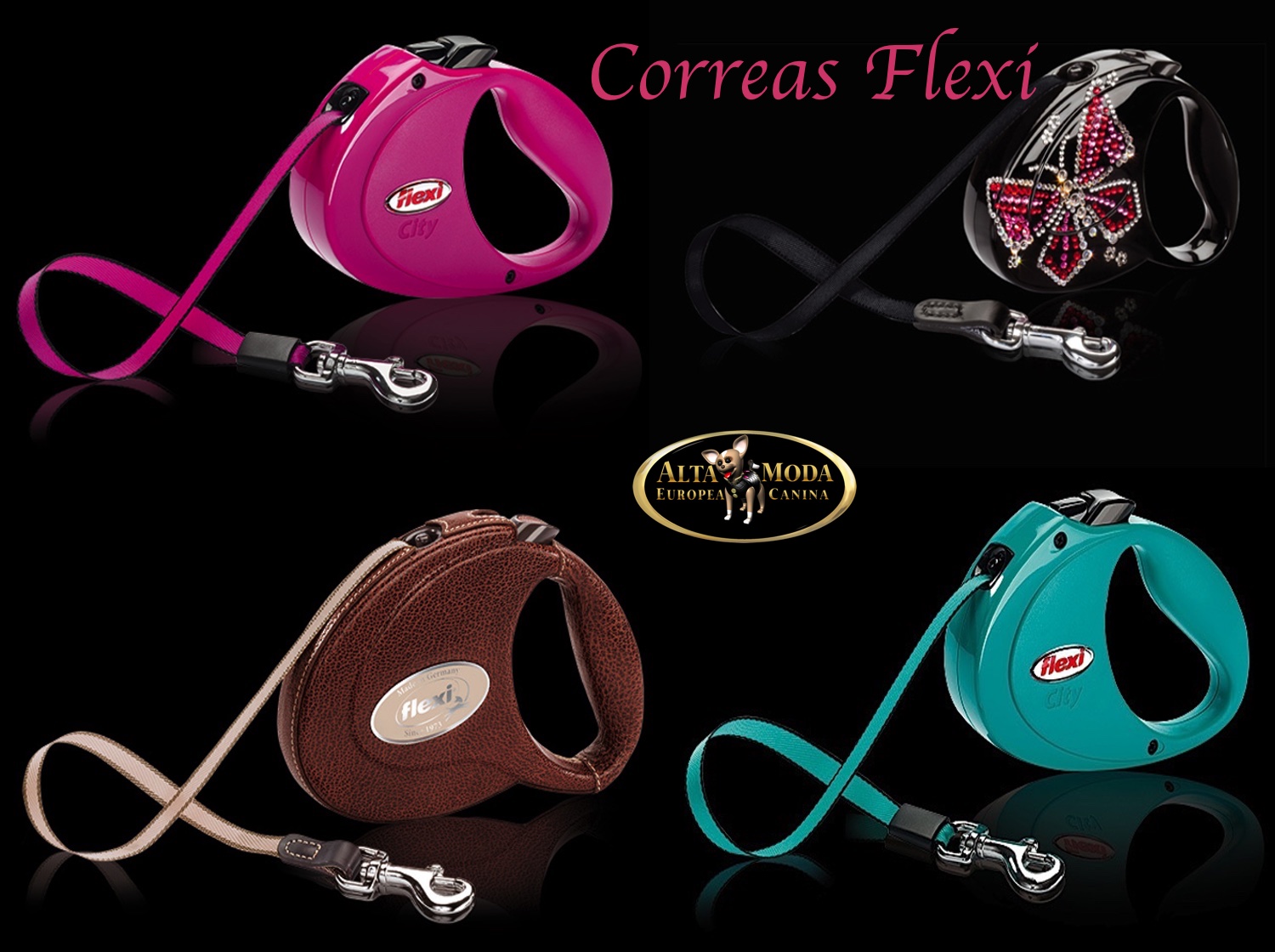 Correas Flexi Perros