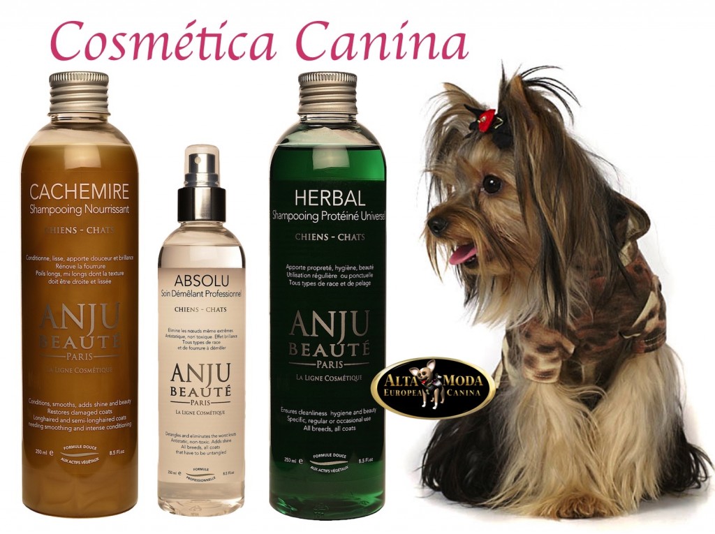 cosmetica_para-yorkshires