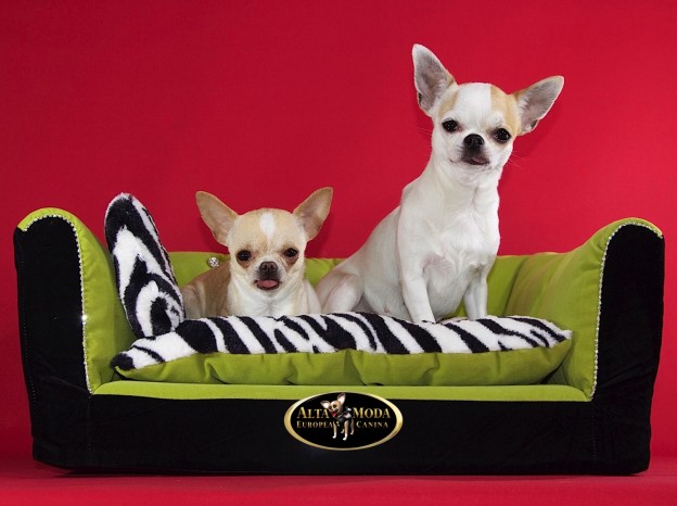 sofa_relax_pistacho_perros