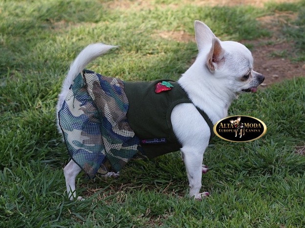 vestido_barato-para-perritas