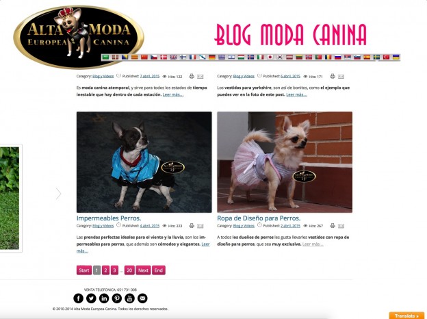 blog_moda_canina_idiomas