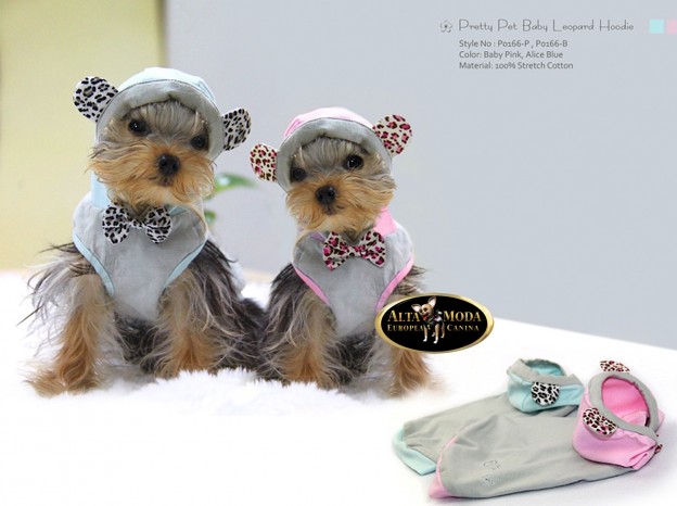 chandal_y-sudaderas_perros