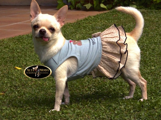 comprar_moda_perros_formas_pago