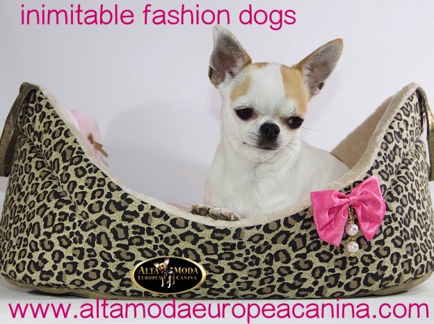 moda_canina_inimitable