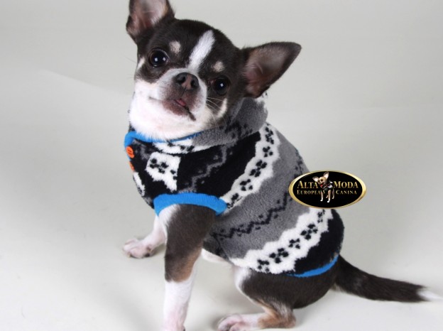 nuevo_blog_moda_canina