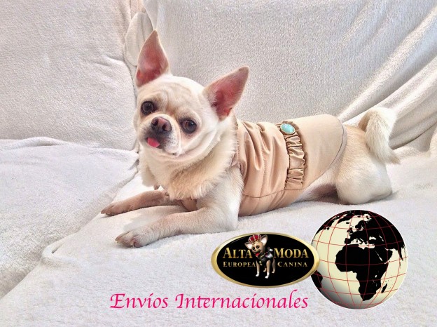 ropa_perros_envios