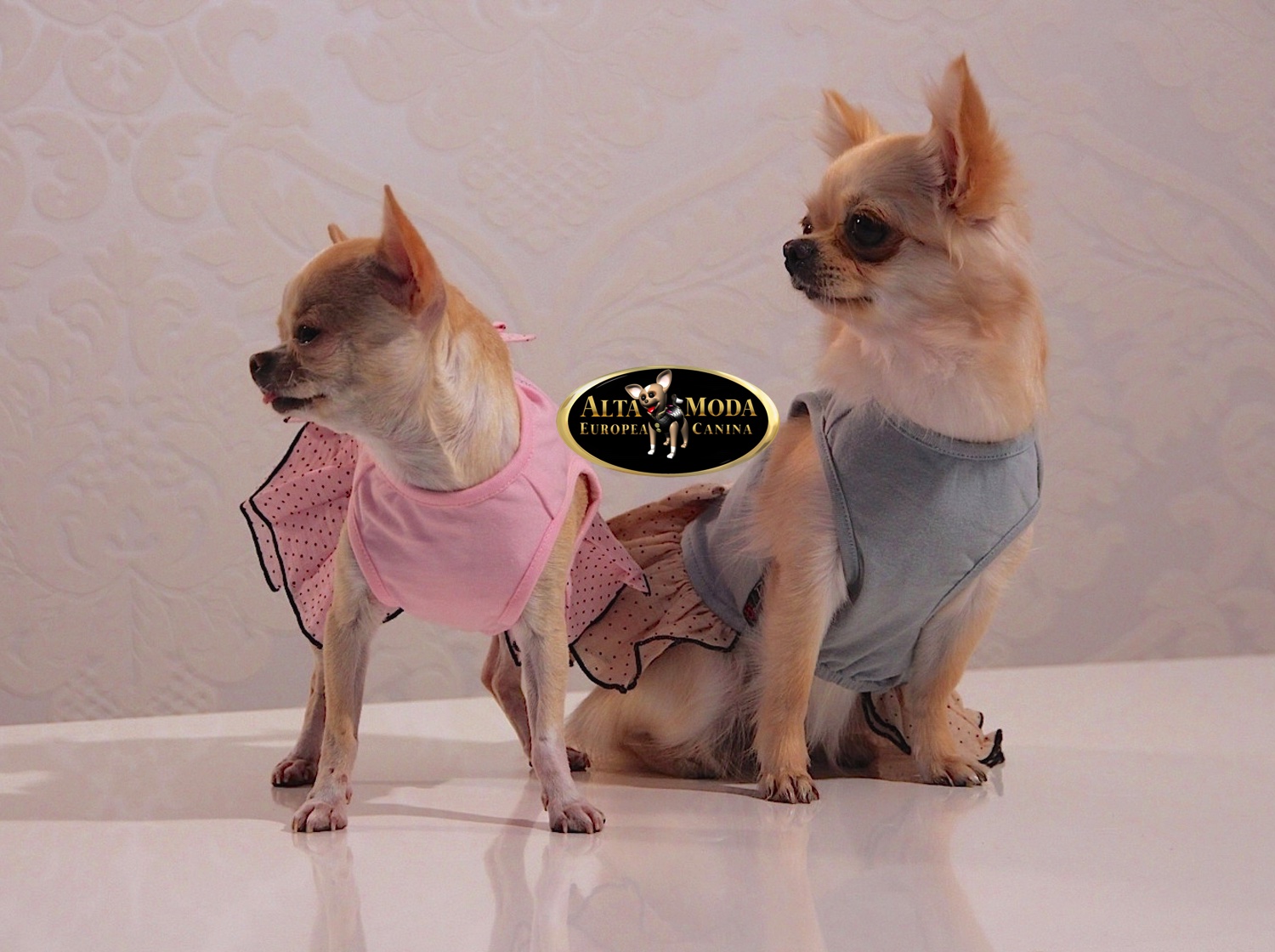 ropa_perros_modelos
