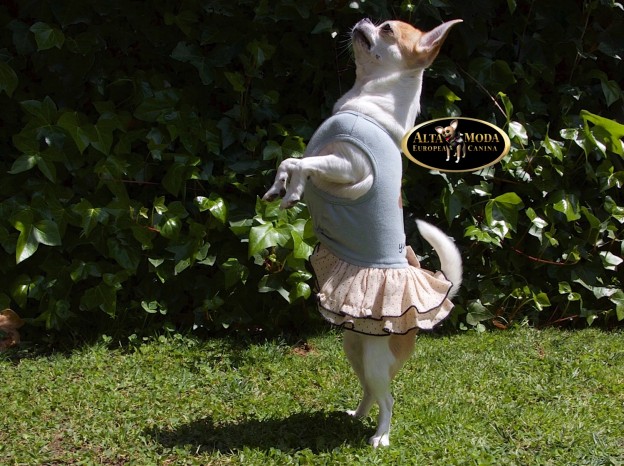 vestidos_ropa_perros