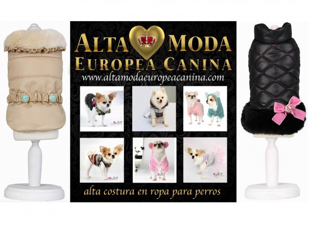 alta_costura_canina