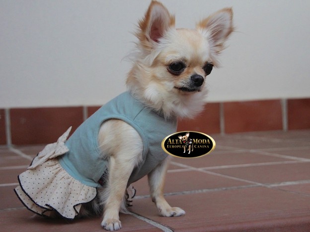 alta_moda_europea_canina_imagenes