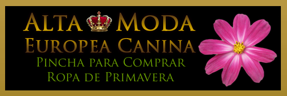 Ropa de Primavera para Perros