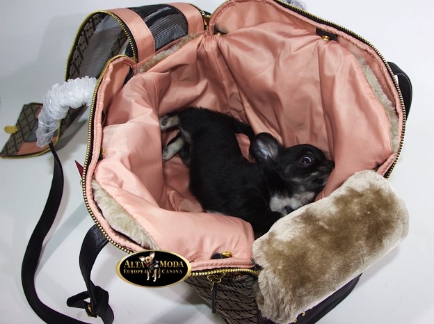 bolsos_verano_perros