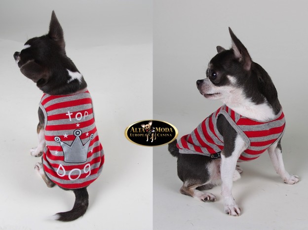 camisetas_rayas-perros