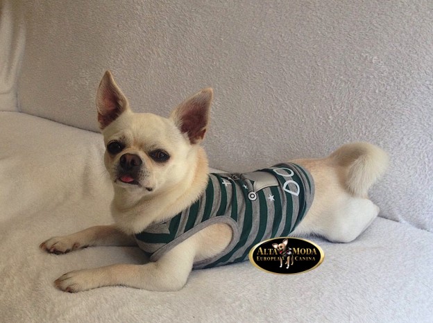 camisetas_verano_perros