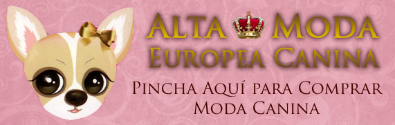 Ropa para Yorkshires