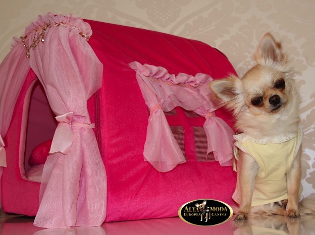 envios_moda_canina