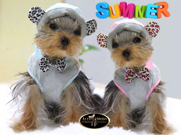 moda_canina_verano