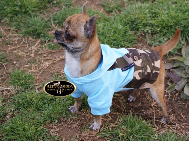 ropa_perros_pequenos