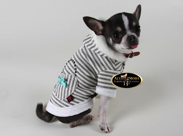 sudaderas_para_perros