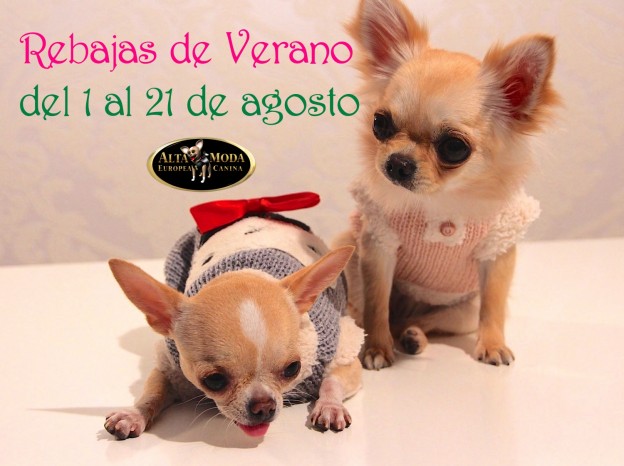 rebajas verano ropa perros