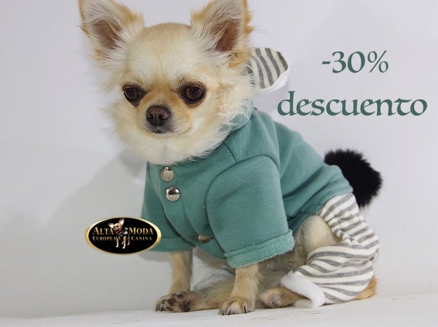 chandal_perros_pretty_bear