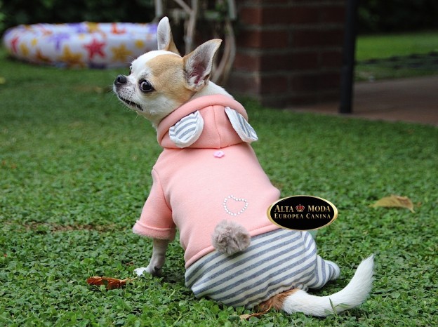 Ropa Comoda para Perros
