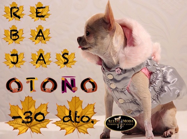 Ropa Otono Perros