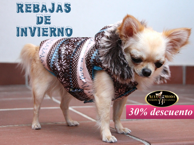 Ropa Invierno Perros Pequeños